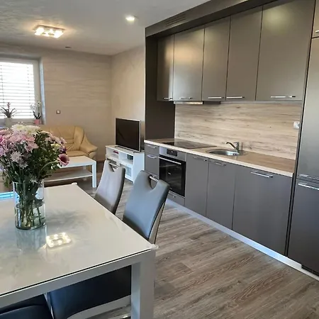 Moste - Modern With Pool, Ev Station & Free Parking * Ljubljana