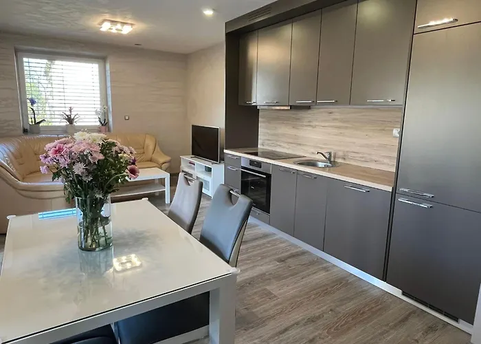 Moste - Modern With Pool, Ev Station & Free Parking * Ljubljana